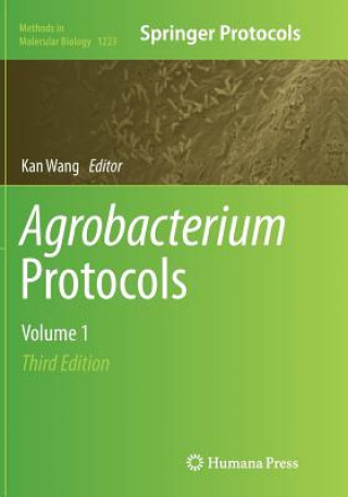 Kniha Agrobacterium Protocols Kan Wang