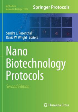 Buch NanoBiotechnology Protocols Sandra J. Rosenthal