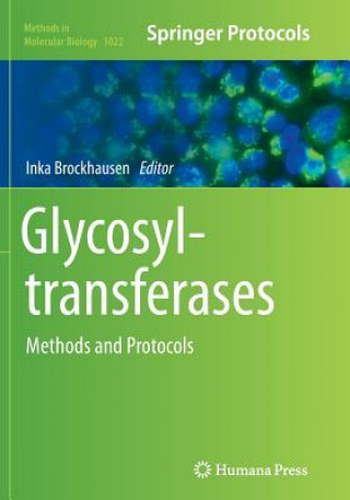 Könyv Glycosyltransferases Inka Brockhausen