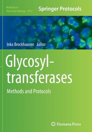 Kniha Glycosyltransferases Inka Brockhausen