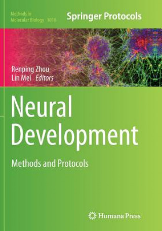 Kniha Neural Development Lin Mei