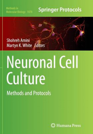 Carte Neuronal Cell Culture Shohreh Amini