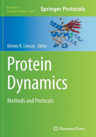 Kniha Protein Dynamics Dennis R. Livesay