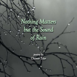 Kniha Nothing Matters But the Sound of Rain Cheever Tyler