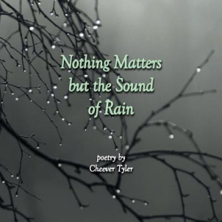 Książka Nothing Matters But the Sound of Rain Cheever Tyler