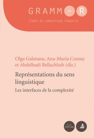 Kniha Representations Du Sens Linguistique Olga Galatanu