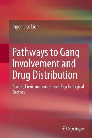 Book Pathways to Gang Involvement and Drug Distribution Inger-Lise Lien