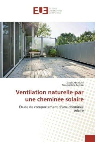 Kniha Ventilation naturelle par une cheminée solaire Zineb Akchiche