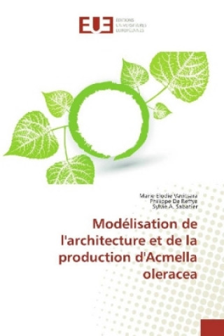 Carte Modélisation de l'architecture et de la production d'Acmella oleracea Marie Elodie Vavitsara