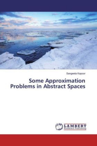 Knjiga Some Approximation Problems in Abstract Spaces Sangeeta Kapoor