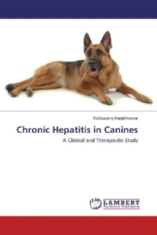 Kniha Chronic Hepatitis in Canines Muthusamy Ranjithkumar