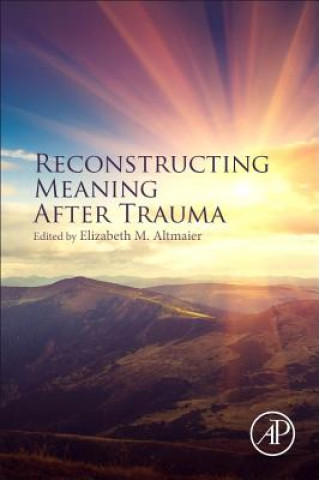 Knjiga Reconstructing Meaning After Trauma Elizabeth Altmaier