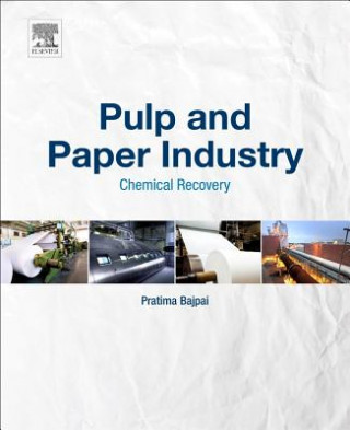 Kniha Pulp and Paper Industry Pratima Bajpai