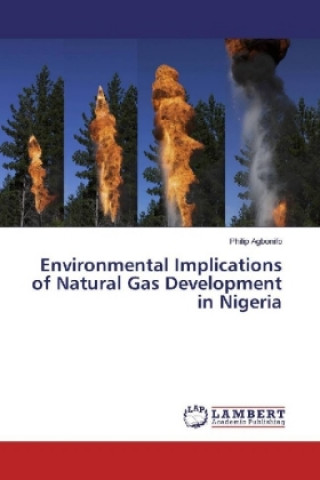 Knjiga Environmental Implications of Natural Gas Development in Nigeria Philip Agbonifo