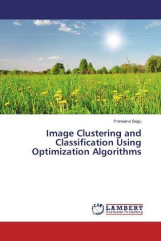 Kniha Image Clustering and Classification Using Optimization Algorithms Praveena Segu