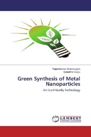 Kniha Green Synthesis of Metal Nanoparticles Rajeshkumar Shanmugam