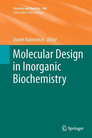 Kniha Molecular Design in Inorganic Biochemistry Daniel Rabinovich