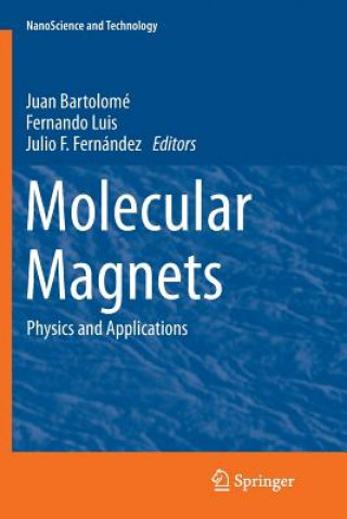 Kniha Molecular Magnets Juan Bartolomé