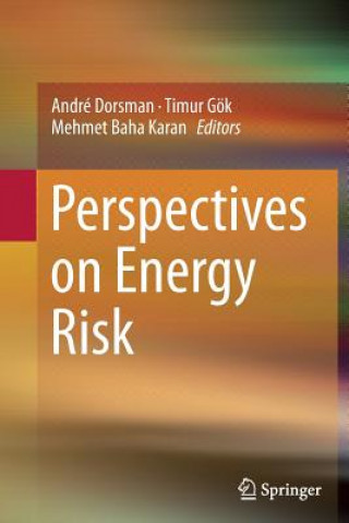 Kniha Perspectives on Energy Risk André Dorsman