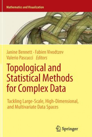 Kniha Topological and Statistical Methods for Complex Data Janine Bennett