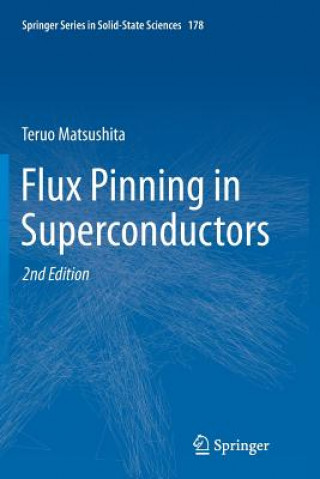 Könyv Flux Pinning in Superconductors Teruo Matsushita