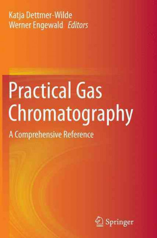 Book Practical Gas Chromatography Katja Dettmer-Wilde