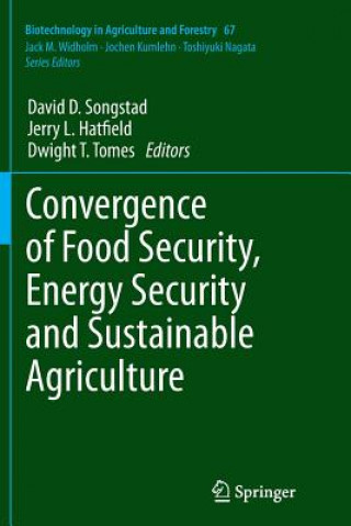 Kniha Convergence of Food Security, Energy Security and Sustainable Agriculture Jerry L. Hatfield