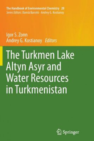 Kniha Turkmen Lake Altyn Asyr and Water Resources in Turkmenistan Andrey G. Kostianoy