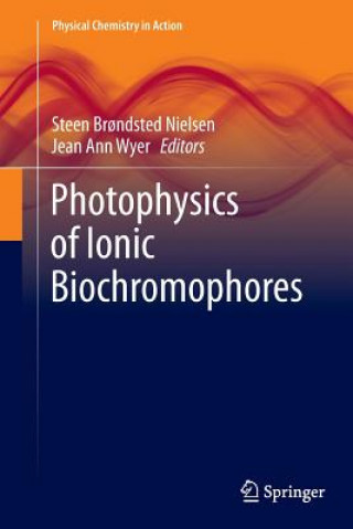 Książka Photophysics of Ionic Biochromophores Steen Br?ndsted Nielsen