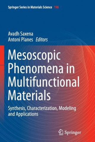 Buch Mesoscopic Phenomena in Multifunctional Materials Antoni Planes