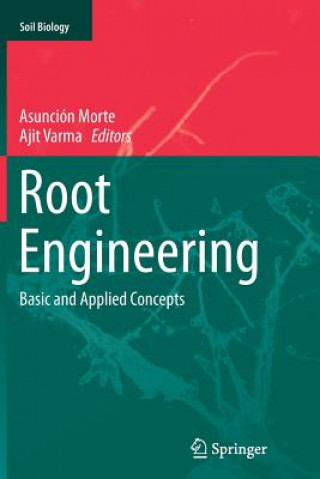 Kniha Root Engineering Asunción Morte