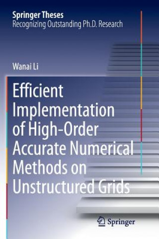 Книга Efficient Implementation of High-Order Accurate Numerical Methods on Unstructured Grids Wanai Li