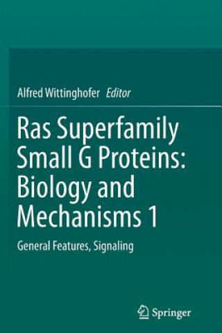 Kniha Ras Superfamily Small G Proteins: Biology and Mechanisms 1 Alfred Wittinghofer