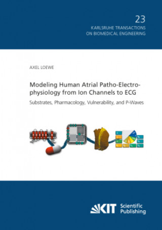 Knjiga Modeling Human Atrial Patho-Electrophysiology from Ion Channels to ECG - Substrates, Pharmacology, Vulnerability, and P-Waves Axel Loewe