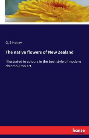 Kniha native flowers of New Zealand G. B Hetley