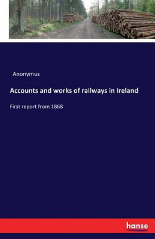 Buch Accounts and works of railways in Ireland Anonymus