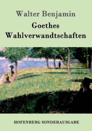 Kniha Goethes Wahlverwandtschaften Walter Benjamin