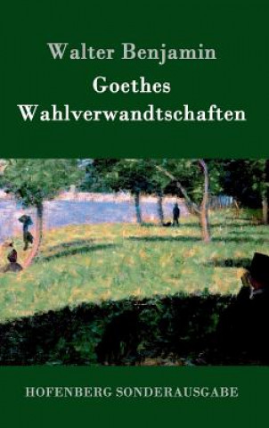 Book Goethes Wahlverwandtschaften Walter Benjamin