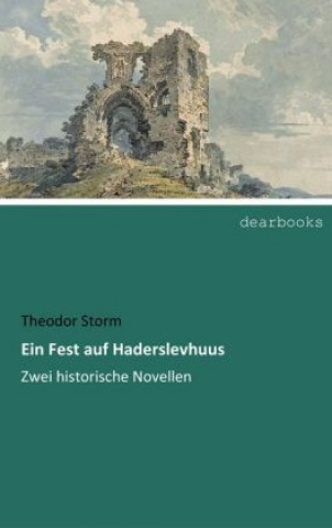 Kniha Ein Fest auf Haderslevhuus Theodor Storm