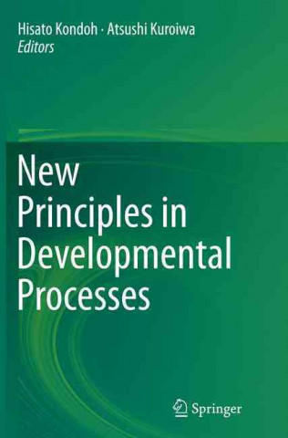Buch New Principles in Developmental Processes Hisato Kondoh