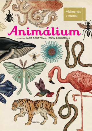 Book Animalium Jenny Broomová