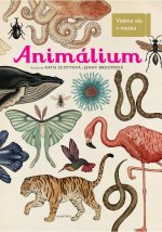Kniha Animalium Jenny Broomová