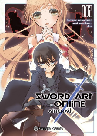 Kniha Sword Art Online Aincrad 02 Reki Kawahara