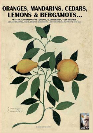 Kniha Oranges, mandarins, cedars, lemons & bergamots.. Luca Stefano Cristini