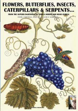 Książka flowers, butterflies, insects, caterpillars & serpents... Luca Stefano Cristini