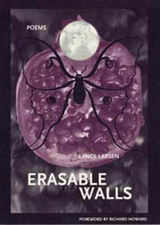 Βιβλίο Erasable Walls Lance Larsen