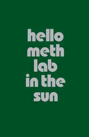 Kniha Hello Meth Lab in the Sun Liam Gillick