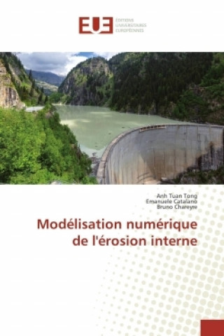 Kniha Modélisation numérique de l'érosion interne Anh Tuan Tong