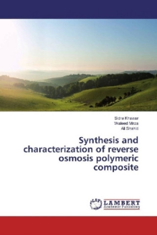 Kniha Synthesis and characterization of reverse osmosis polymeric composite Sidra Khawar
