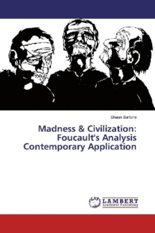 Kniha Madness & Civilization: Foucault's Analysis Contemporary Application Shaun Bartone